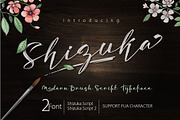 Shizuka Brush Script, a Handwritten Font by Olexstudio (Thumbnail 1 of 5)