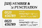 Reaktona - Pixel Slanted Serif Font, a Serif Font by Drizy (Thumbnail 5 of 10)