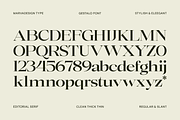 Gestalo - Elegant Family Serif, a Serif Font by Marvadesign (Thumbnail 9 of 10)