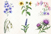 Watercolor Wild Flower Clipart, an Illustration by Libby Wishes (Thumbnail 7 of 7)