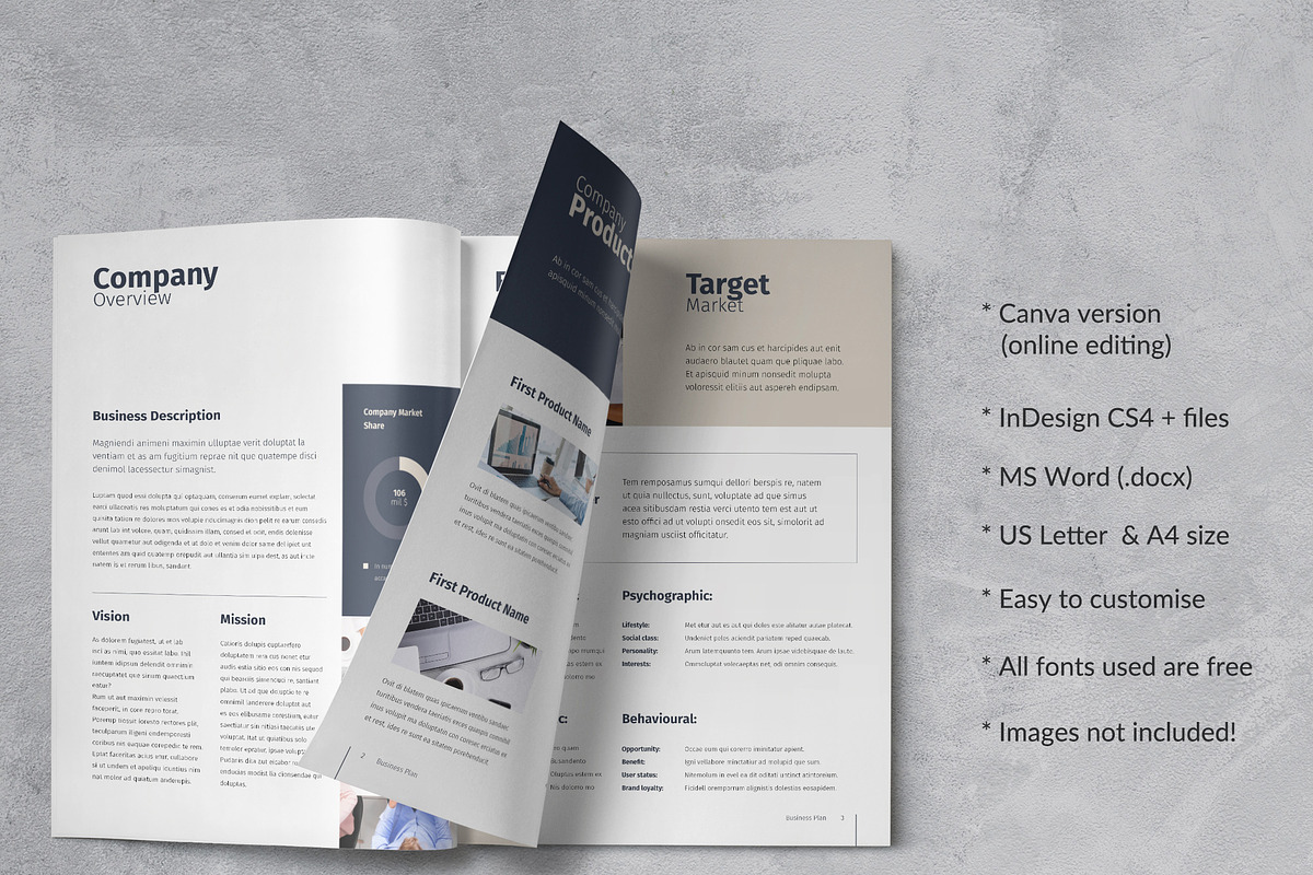 Business Plan Template, a Brochure Template by Sabin (Photo 2 of 9)