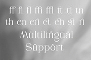 Braven | A Modern Serif Typeface, a Serif Font by ToniStudio (Thumbnail 9 of 10)