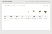 BBCH Growth Stages, Cabbages & Green, a Presentation Template by Ilia Design (Thumbnail 7 of 10)
