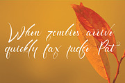 Exquisite Typeface, a Script Font by beeART (Thumbnail 4 of 5)