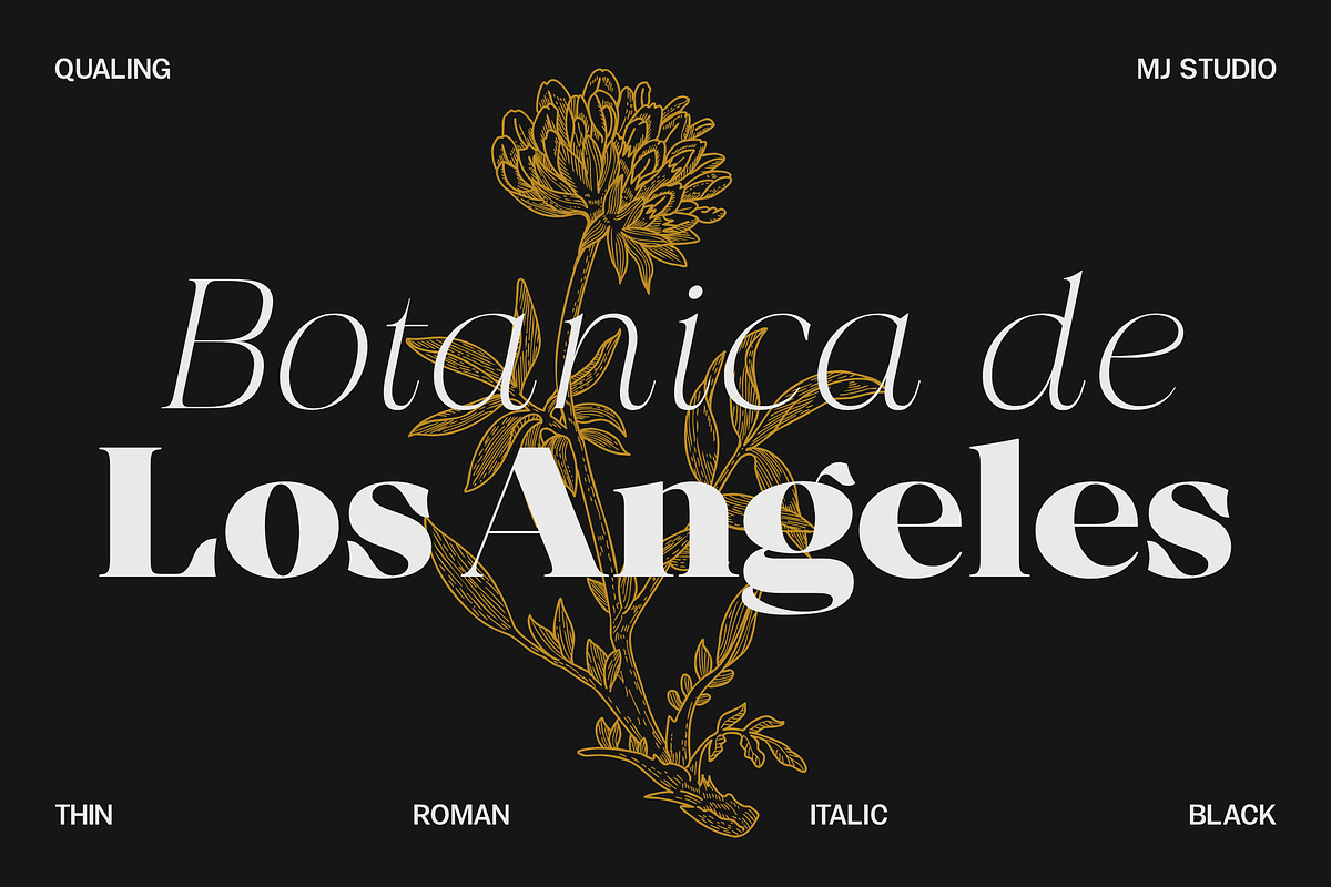 Qualing - Luxury Serif (135 Font), a Serif Font by MjStudio31 (Photo 8 of 14)