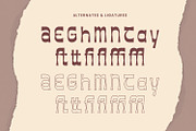 Paintage Paintage - Vintage Display, a Sans Serif Font by AQR Studio (Thumbnail 7 of 8)