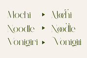 Megita - Beautiful Serif Font, a Serif Font by Aqeel_Art (Thumbnail 8 of 12)