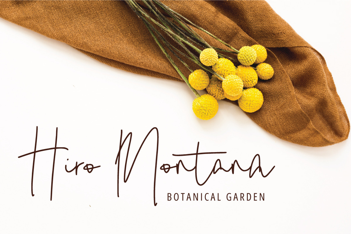 Hidesty Signature, a Handwritten Font by Eltypesstudio (Photo 5 of 18)