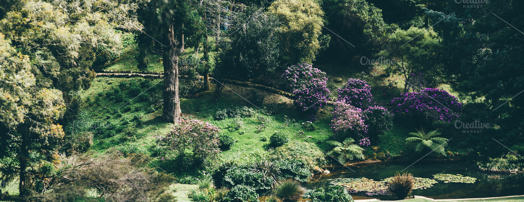 Blooming garden pond panorama, a Nature Photo by SkyNext