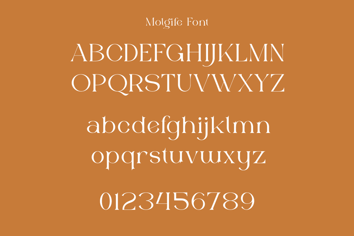 Molgife - Fashion Brand Font, a Serif Font by Iqsiart Studio (Photo 11 of 15)