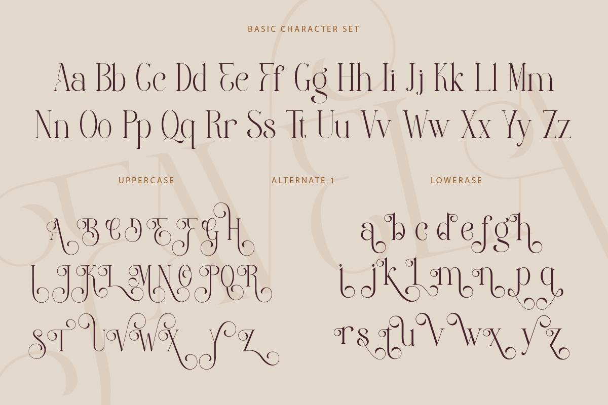 Favela, a Font by Font Liner (Photo 11 of 13)