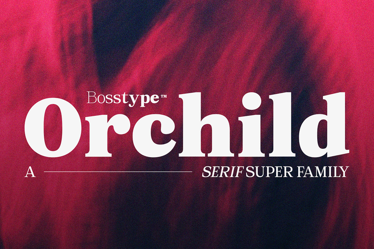 Orchild Serif | 91 Style Font, a Serif Font by Bosstype Studio (Photo 1 of 12)