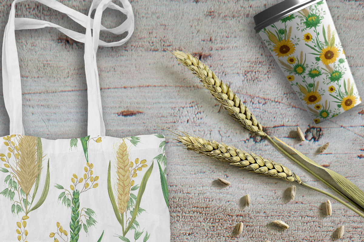 Cereals set, a Decorative Illustration by kateja (Photo 5 of 5)