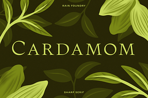 Cardamom - Regular