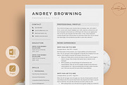 Resume/CV - The Andrey, a Resume Template by CreativeLandStudio (Thumbnail 1 of 8)
