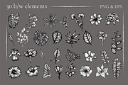 Digital Vintage Flowers, a Decorative Illustration by Onceli*art (Thumbnail 3 of 14)