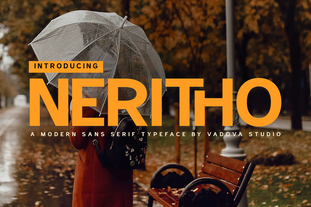 Neritho Modern Sans Typeface Font, a Sans Serif Font by Vadovastd (Photo 1 of 7)