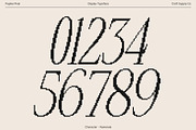 Papike Pixel, a Serif Font by Craft Supply Co. (Thumbnail 5 of 8)