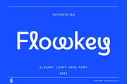SS Flowkey - Loopy Sans Font, a Sans Serif Font by Typocracy Studio (Thumbnail 1 of 11)