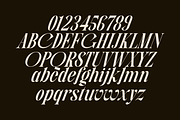 Folden - Serif Display Font, a Serif Font by Marvadesign (Thumbnail 5 of 11)