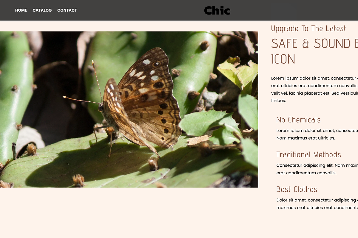 Elegant Fashion Shopify Theme Brown, a Templates & Theme by Exclusive Themes (Photo 6 of 10)