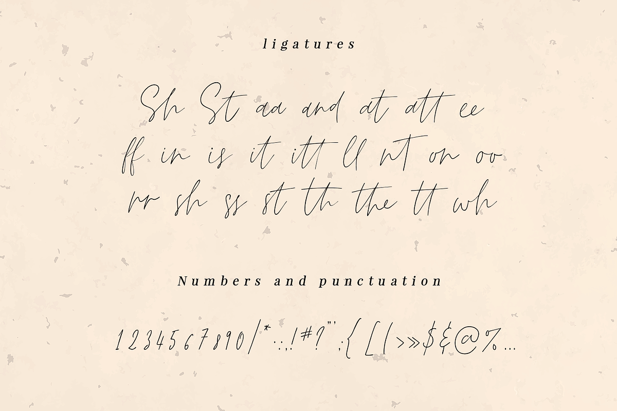 Deellma - Script font, a Script Font by Quothron (Photo 6 of 7)