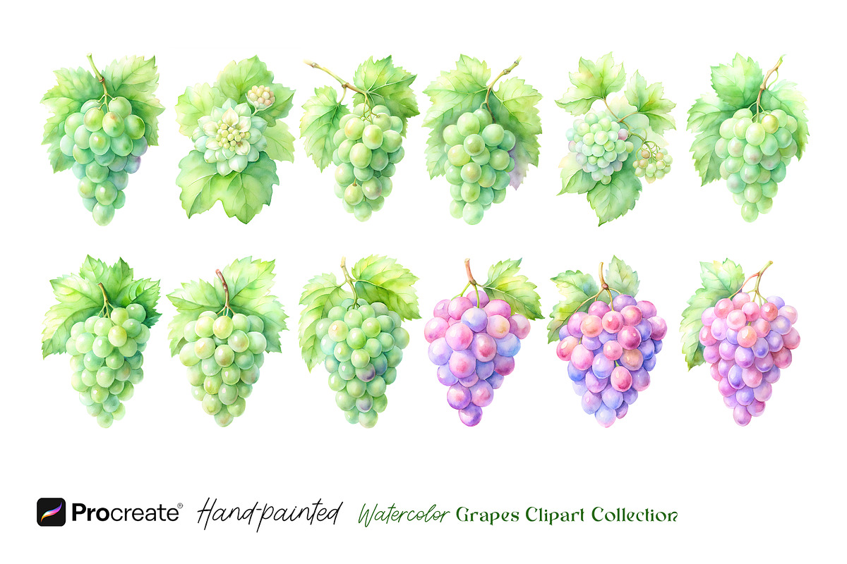 Watercolor Grapes Clipart, an Object Illustration by crafty (Photo 10 of 11)