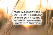Golden Hour, a Font by Fashion Creative (Thumbnail 7 of 9)