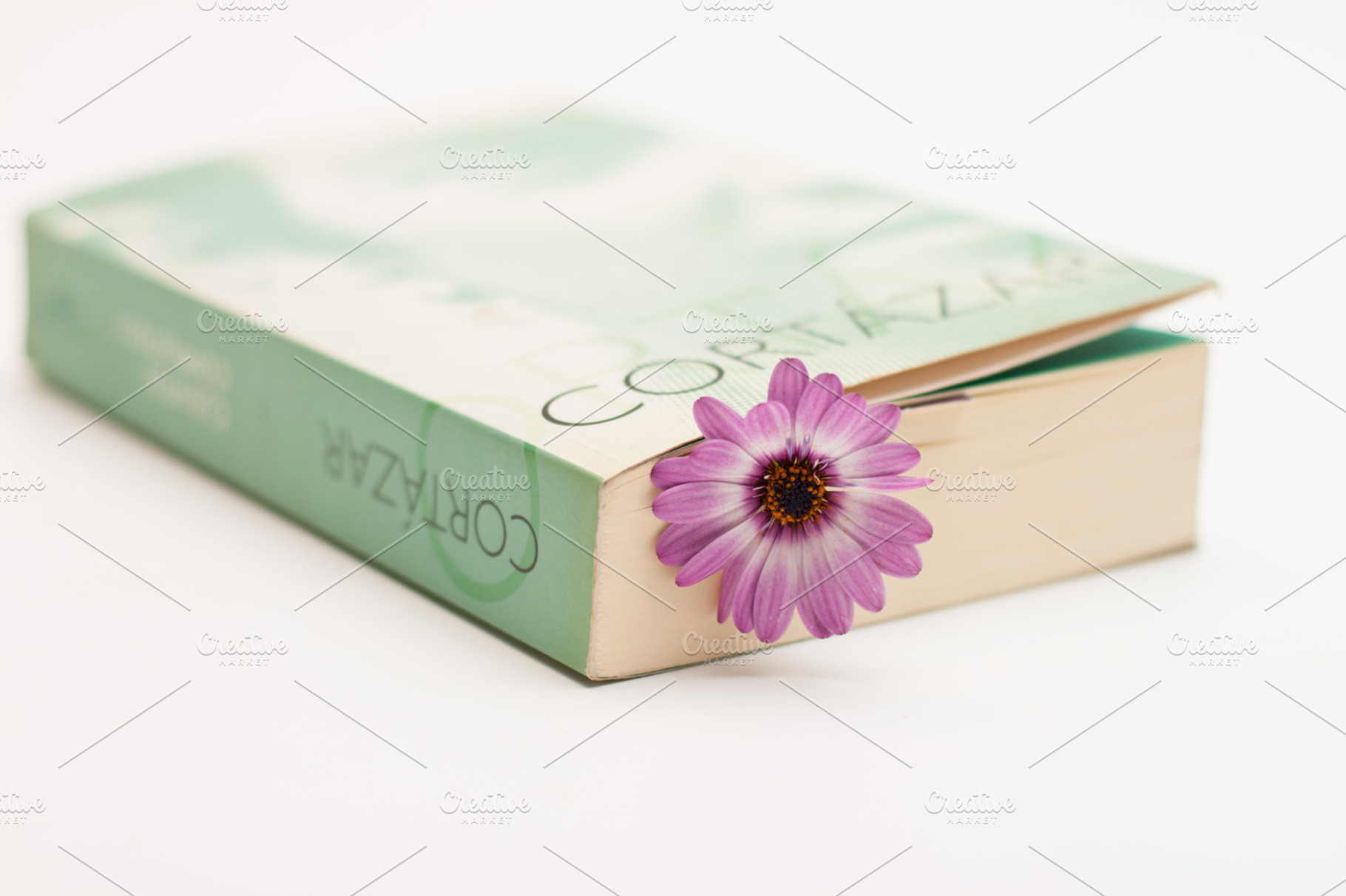 Flower And Book 2 Stock Photo