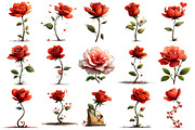 Whimsical Valentine Rose Clipart, an Illustration by OK Design (Thumbnail 3 of 6)