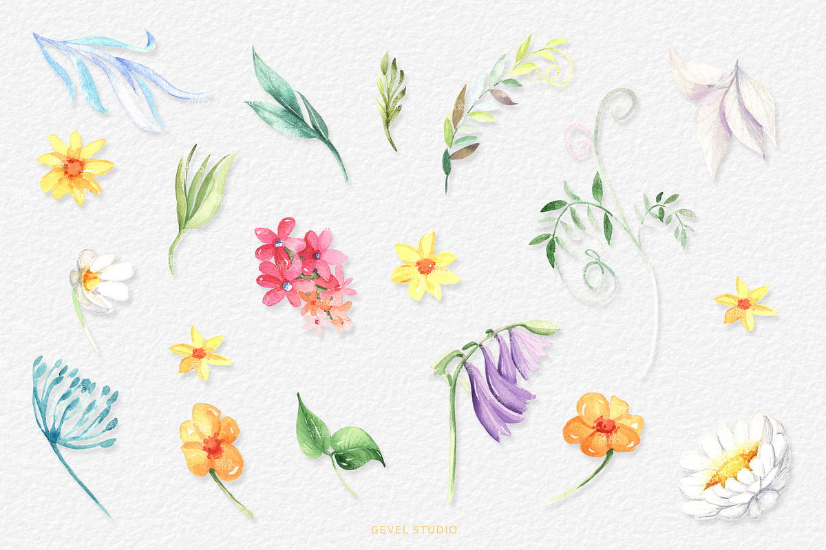 Honey Bee and Wild Flowers clipart, an Illustration by GevelStudio (Photo 3 of 12)