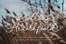 Collins Hearthfield a Script Font