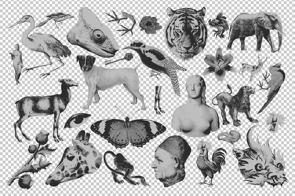 MONSTERVERSE Collage Set, an Object Graphic by angelainthefields (Photo 5 of 11)