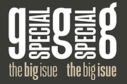 Linton Gothic Extra Condensed, a Font by TypeFaith Fonts (Thumbnail 5 of 16)