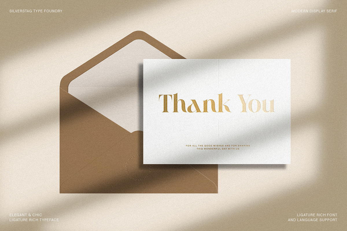 Raving Display Editorial Serif Font, a Serif Font by SilverStag Type Foundry (Photo 30 of 30)