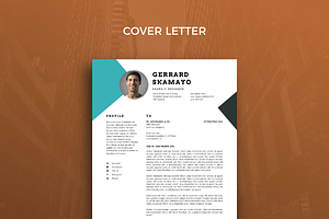 Resume Template 31