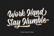 Hasdina Script, a Script Font by Beautypes (Thumbnail 3 of 7)