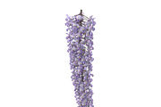 Wisteria, an Environmental 3D Model by AndrewWhite (Thumbnail 2 of 10)