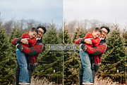 Natural Winter Magic LR Presets, an Action Add-On by CityTurtles (Thumbnail 4 of 10)