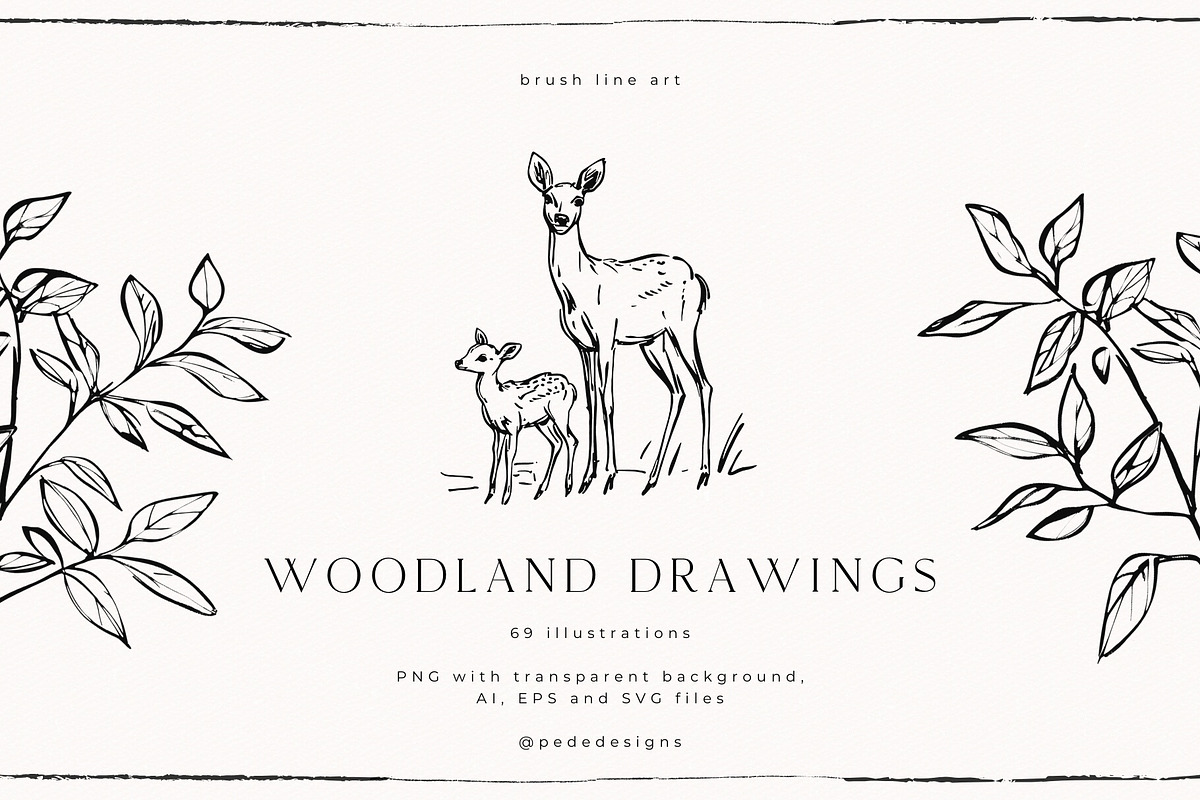 Woodland Drawings, an Animal Illustration by PeDe Designs (Photo 1 of 9)