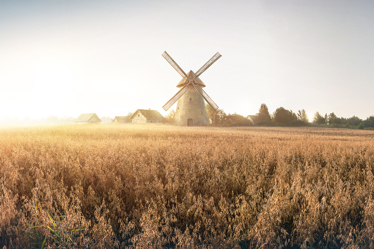 Autumn rural landscape, a Food Illustration by Countryside life (Photo 5 of 9)
