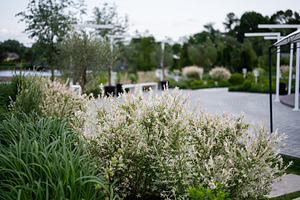 Beautiful garden landscape with blooming shrubs and trees on a sunny day, a Photo by AS photostudio