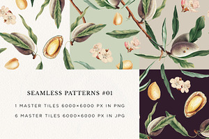 Vintage Almond Patterns & Elements