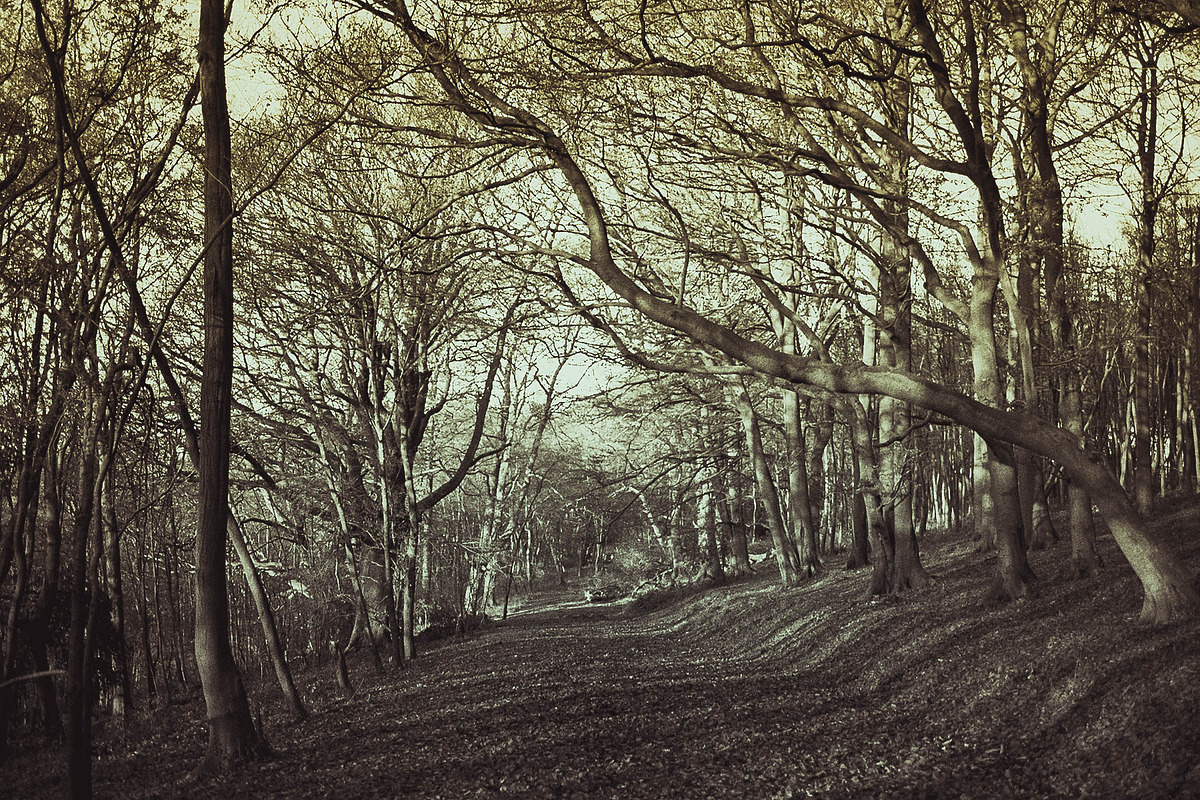 25 Dual Tone Landscape Presets, a Preset Add-On by Timeless Presets (Photo 3 of 10)