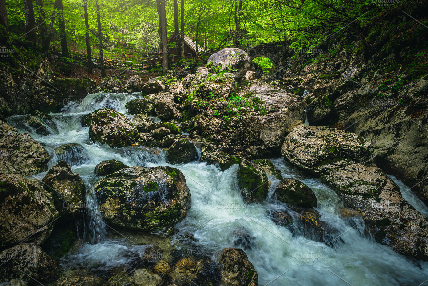 Creek with cascades in the forest, a Nature Photo by Alpine Dreams