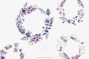EUPHORIA Purple Watercolor Florals, a Decorative Illustration by Muse Artist (Thumbnail 3 of 12)