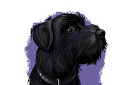 Puppies Dog Breeds Big Bundle 135Pcs, an Animal Illustration by Dneprstock (Thumbnail 35 of 68)