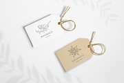 Botany & Moon. Hand Drawn Line Art., a Decorative Illustration by Designwork (Thumbnail 3 of 20)