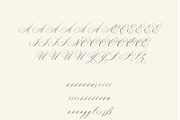 Allegra Script, a Script Font by Creative Foundry (Thumbnail 8 of 8)