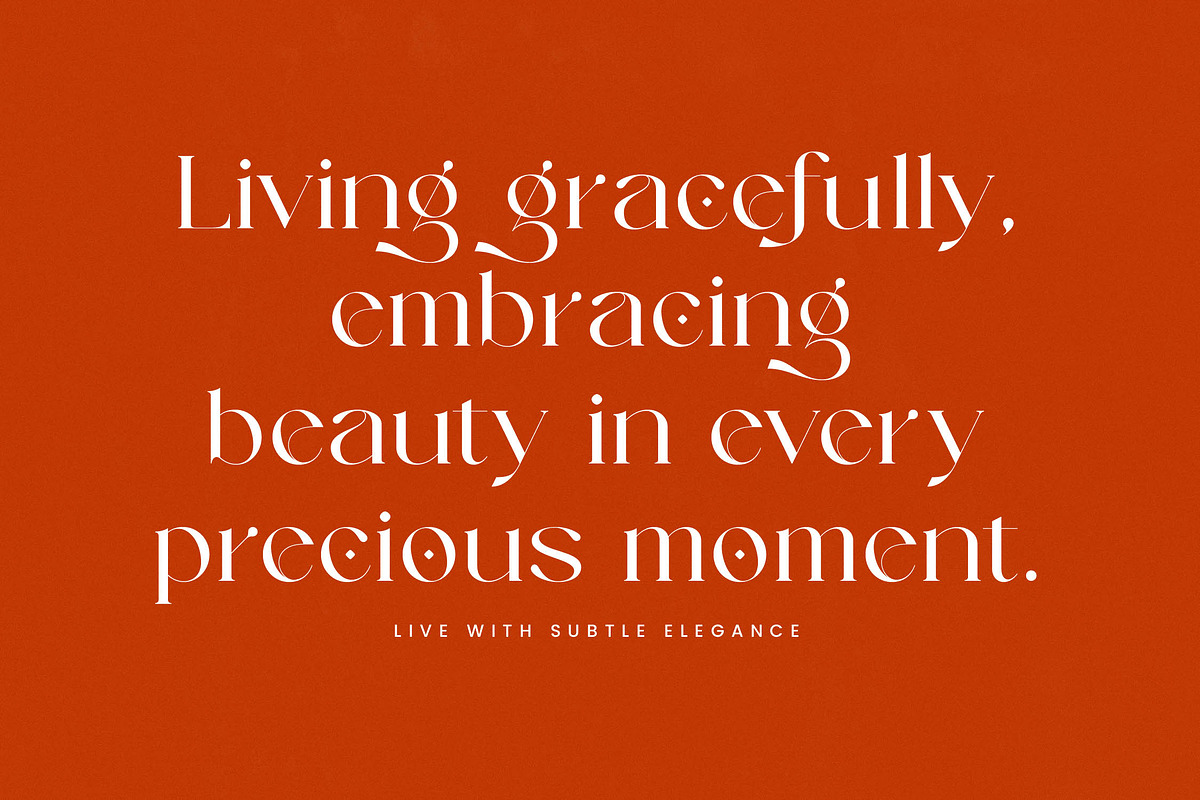Strikes Against Modern Serif Font, a Serif Font by timelesstype.co (Photo 12 of 20)